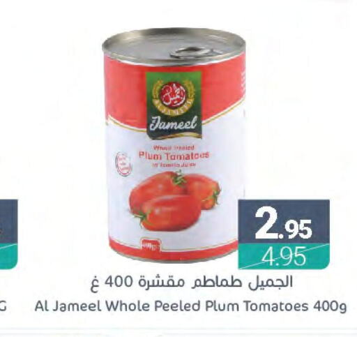SAUDIA Tomato Paste  in اسواق المنتزه in مملكة العربية السعودية, السعودية, سعودية - سيهات