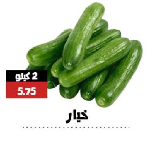  Cucumber  in عرب سويت in مملكة العربية السعودية, السعودية, سعودية - المنطقة الشرقية