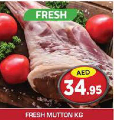  Mutton / Lamb  in Baniyas Spike  in UAE - Umm al Quwain