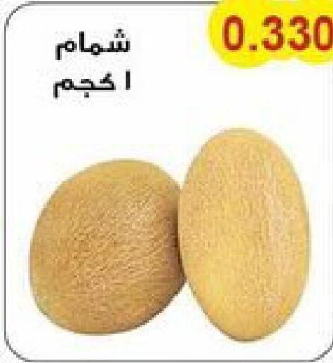  Sweet melon  in Salwa Co-Operative Society  in Kuwait - Jahra Governorate