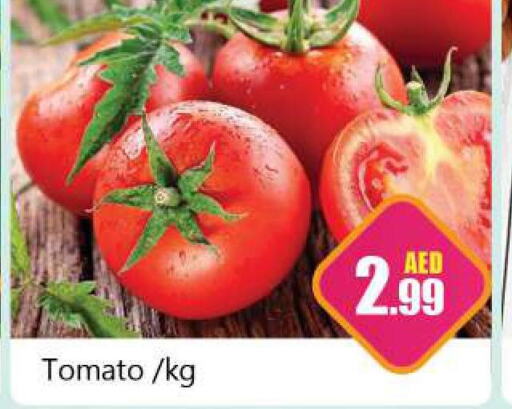  Tomato  in سوق المبارك هايبرماركت in الإمارات العربية المتحدة , الامارات - الشارقة / عجمان