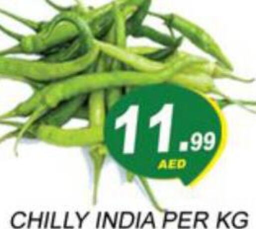  Chilli / Capsicum  in زين مارت سوبرماركت in الإمارات العربية المتحدة , الامارات - رَأْس ٱلْخَيْمَة