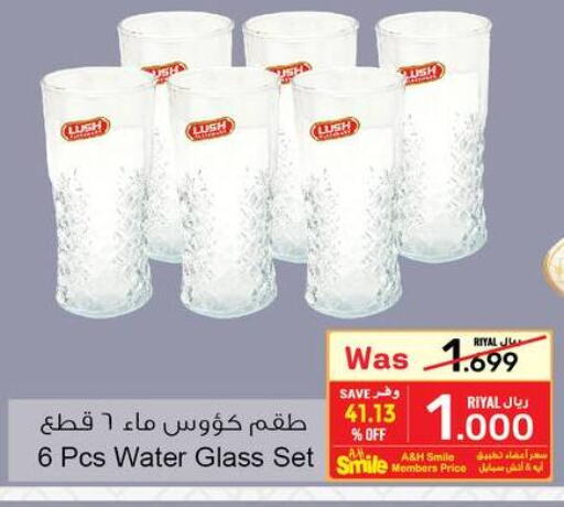WINDEX Glass Cleaner  in أيه & أتش in عُمان - صلالة