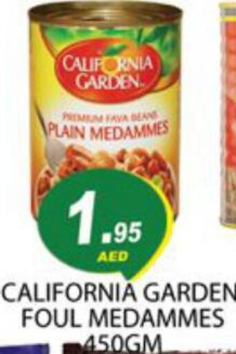 CALIFORNIA Fava Beans  in Zain Mart Supermarket in UAE - Ras al Khaimah