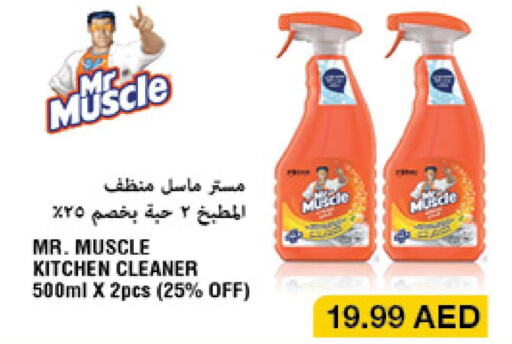 MR. MUSCLE General Cleaner  in Emirates Co-Operative Society in UAE - Dubai
