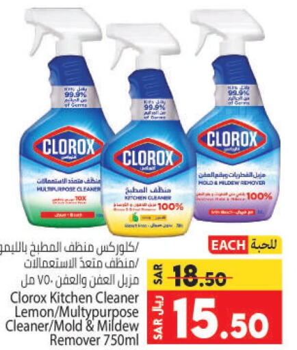 CLOROX General Cleaner  in كبايان هايبرماركت in مملكة العربية السعودية, السعودية, سعودية - جدة