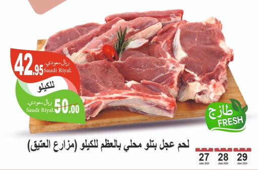  Veal  in Al Hafeez Hypermarket in KSA, Saudi Arabia, Saudi - Al Hasa