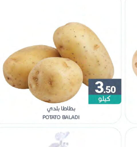  Potato  in اسواق المنتزه in مملكة العربية السعودية, السعودية, سعودية - القطيف‎