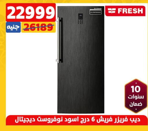 FRESH Freezer  in سنتر شاهين in Egypt - القاهرة