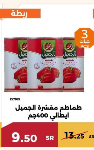 NADA Tomato Paste  in حدائق الفرات in مملكة العربية السعودية, السعودية, سعودية - مكة المكرمة