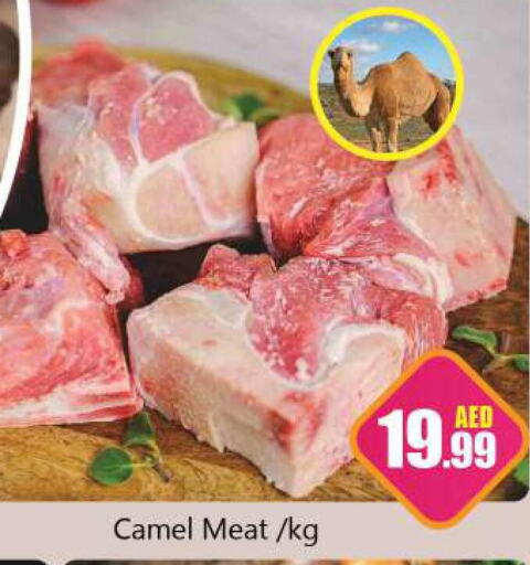  Camel meat  in سوق المبارك هايبرماركت in الإمارات العربية المتحدة , الامارات - الشارقة / عجمان