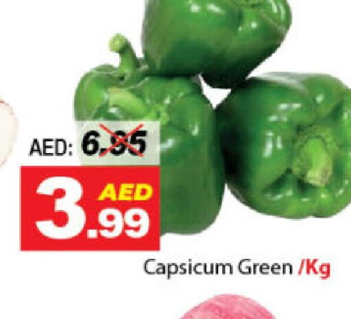  Chilli / Capsicum  in DESERT FRESH MARKET  in UAE - Abu Dhabi