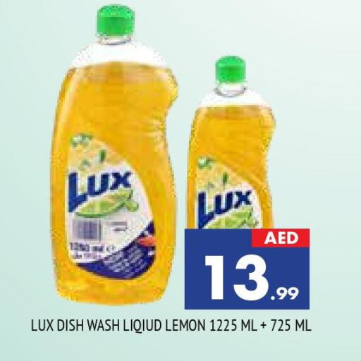 LUX   in المدينة in الإمارات العربية المتحدة , الامارات - الشارقة / عجمان