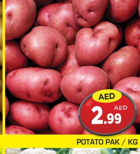  Potato  in سنابل بني ياس in الإمارات العربية المتحدة , الامارات - أبو ظبي