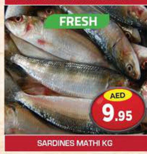  Tuna  in سنابل بني ياس in الإمارات العربية المتحدة , الامارات - ٱلْعَيْن‎