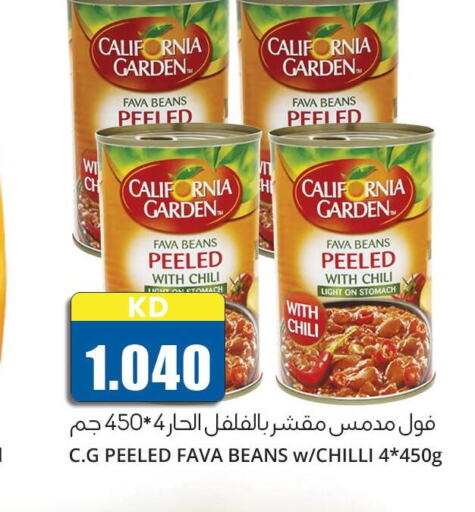 CALIFORNIA GARDEN Fava Beans  in 4 SaveMart in Kuwait - Kuwait City