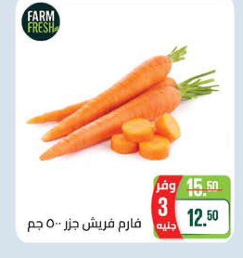  Carrot  in سعودي سوبرماركت in Egypt - القاهرة