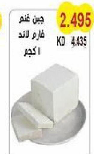 PUCK Mozzarella  in Salwa Co-Operative Society  in Kuwait - Jahra Governorate