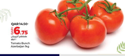  Tomato  in LuLu Hypermarket in Qatar - Al-Shahaniya