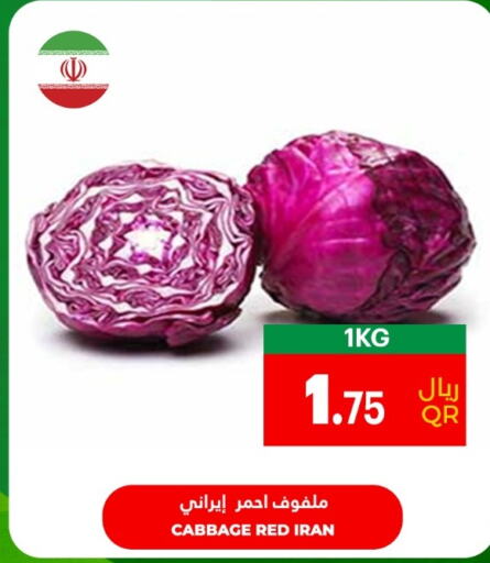  Cabbage  in أسواق القرية in قطر - أم صلال