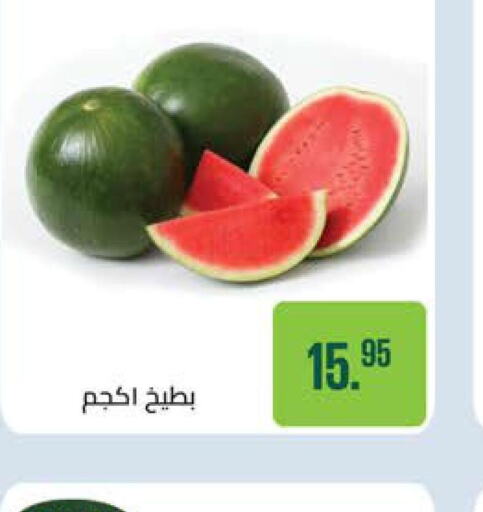  Watermelon  in سعودي سوبرماركت in Egypt - القاهرة
