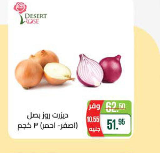  Onion  in سعودي سوبرماركت in Egypt - القاهرة