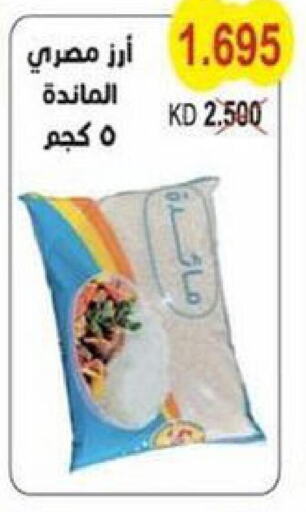  Egyptian / Calrose Rice  in Salwa Co-Operative Society  in Kuwait - Jahra Governorate