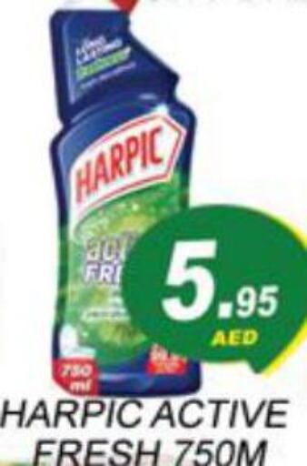 HARPIC Toilet / Drain Cleaner  in Zain Mart Supermarket in UAE - Ras al Khaimah