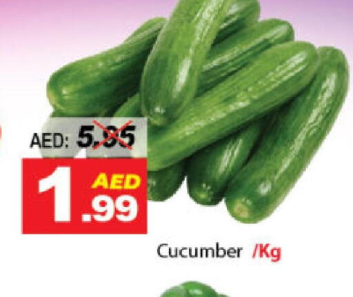  Cucumber  in DESERT FRESH MARKET  in UAE - Abu Dhabi