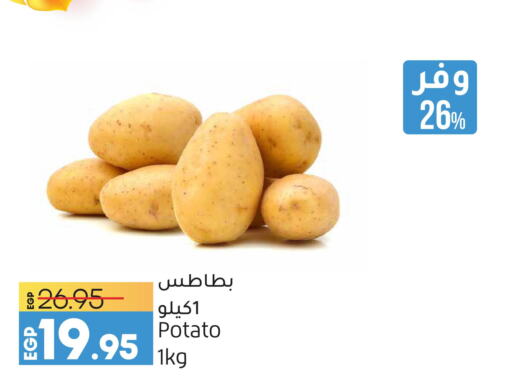  Potato  in لولو هايبرماركت in Egypt - القاهرة