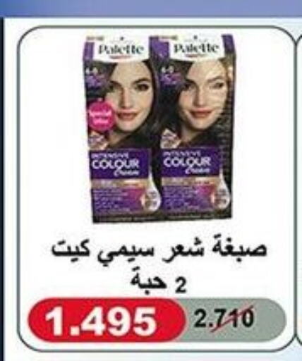 PALETTE Hair Colour  in khitancoop in Kuwait - Ahmadi Governorate