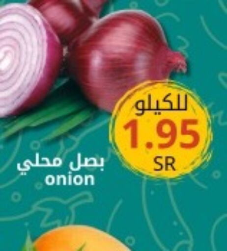  Onion  in Joule Market in KSA, Saudi Arabia, Saudi - Dammam