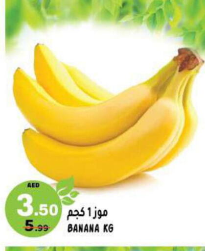  Banana  in هاشم هايبرماركت in الإمارات العربية المتحدة , الامارات - الشارقة / عجمان