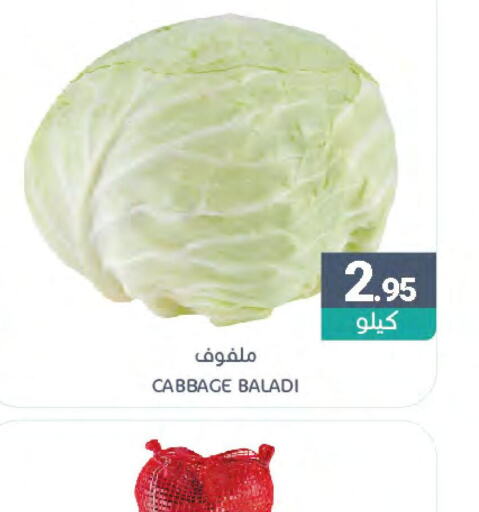  Cabbage  in اسواق المنتزه in مملكة العربية السعودية, السعودية, سعودية - المنطقة الشرقية