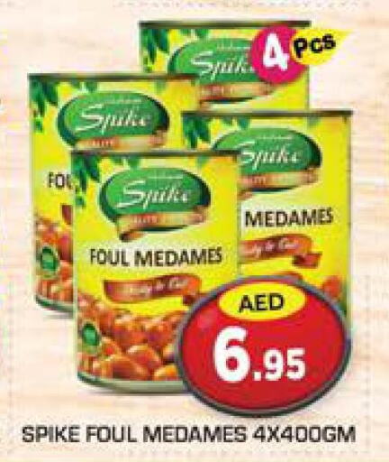  Tuna - Canned  in سنابل بني ياس in الإمارات العربية المتحدة , الامارات - أبو ظبي
