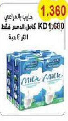 SAUDIA Long Life / UHT Milk  in جمعية سلوى التعاونية in الكويت - محافظة الجهراء