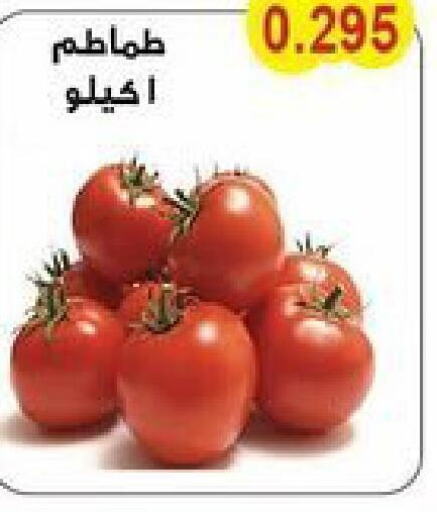  Tomato  in Salwa Co-Operative Society  in Kuwait - Jahra Governorate