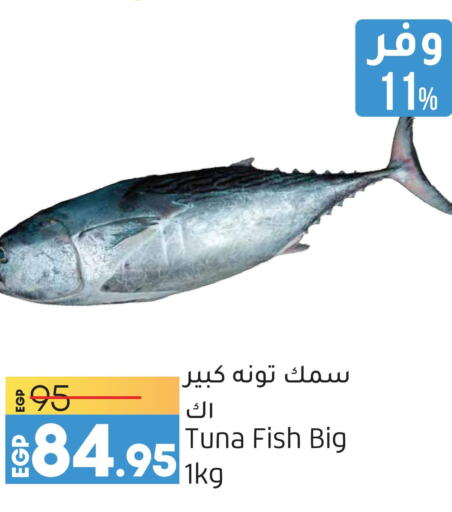  Tuna  in لولو هايبرماركت in Egypt - القاهرة