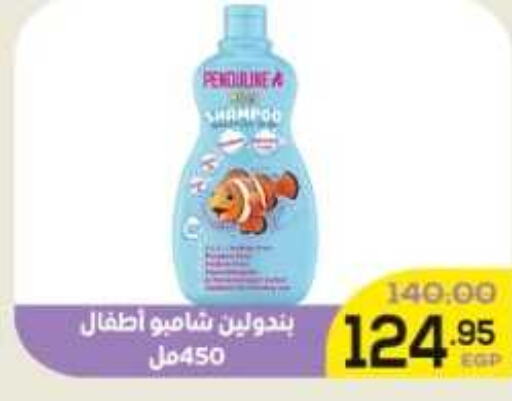  Shampoo / Conditioner  in اسواق الضحى in Egypt - القاهرة