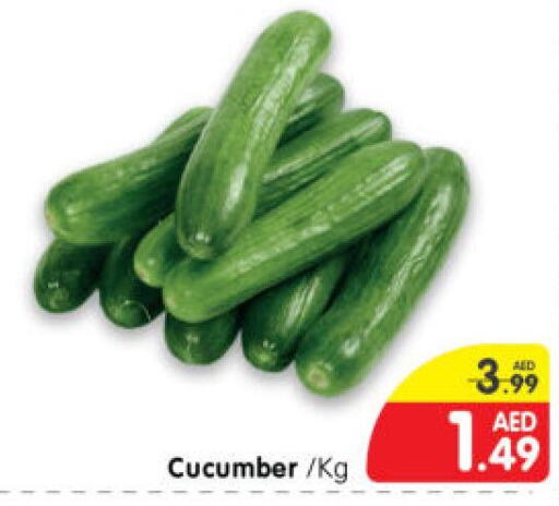  Cucumber  in هايبر ماركت المدينة in الإمارات العربية المتحدة , الامارات - أبو ظبي
