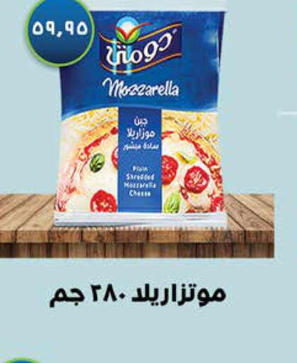 DOMTY Mozzarella  in سعودي سوبرماركت in Egypt - القاهرة