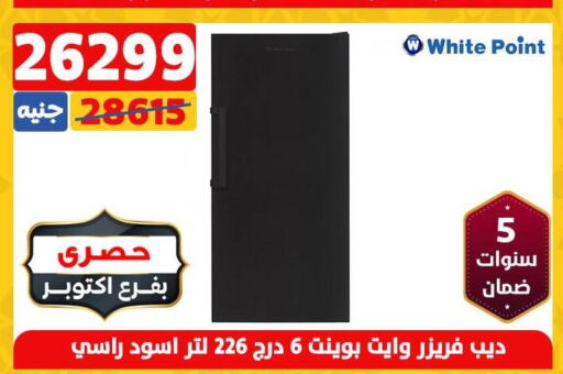 WHITE POINT Freezer  in سنتر شاهين in Egypt - القاهرة