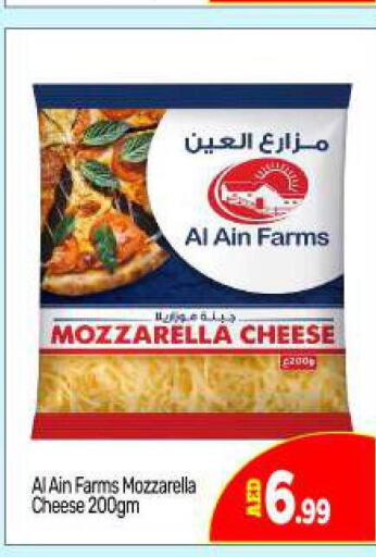 AL AIN Mozzarella  in بيج مارت in الإمارات العربية المتحدة , الامارات - دبي