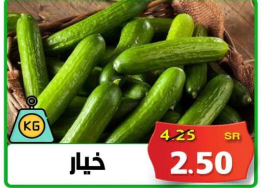  Cucumber  in أسواق بن ناجي in مملكة العربية السعودية, السعودية, سعودية - خميس مشيط