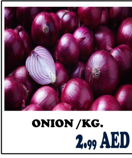  Onion  in STOP N SHOP CENTER in UAE - Sharjah / Ajman