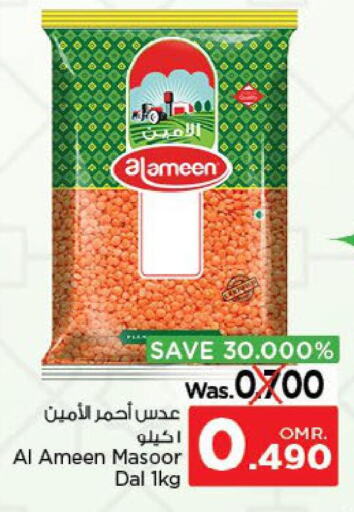 AL AMEEN   in Nesto Hyper Market   in Oman - Sohar