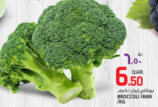  Broccoli  in السعودية in قطر - الشحانية