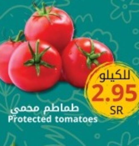  Tomato  in Joule Market in KSA, Saudi Arabia, Saudi - Al Khobar