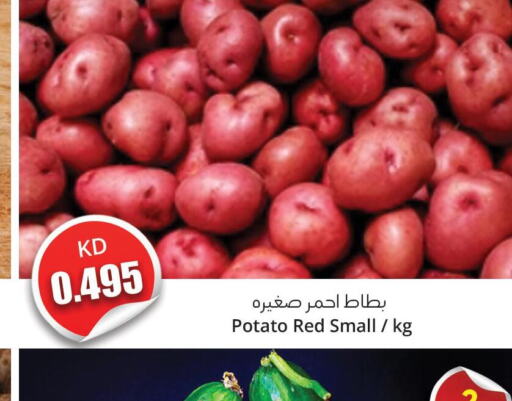  Potato  in 4 سيفمارت in الكويت - مدينة الكويت