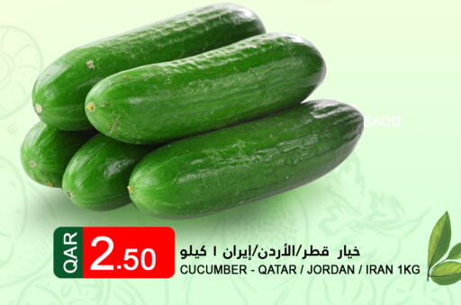  Cucumber  in Food Palace Hypermarket in Qatar - Al Khor